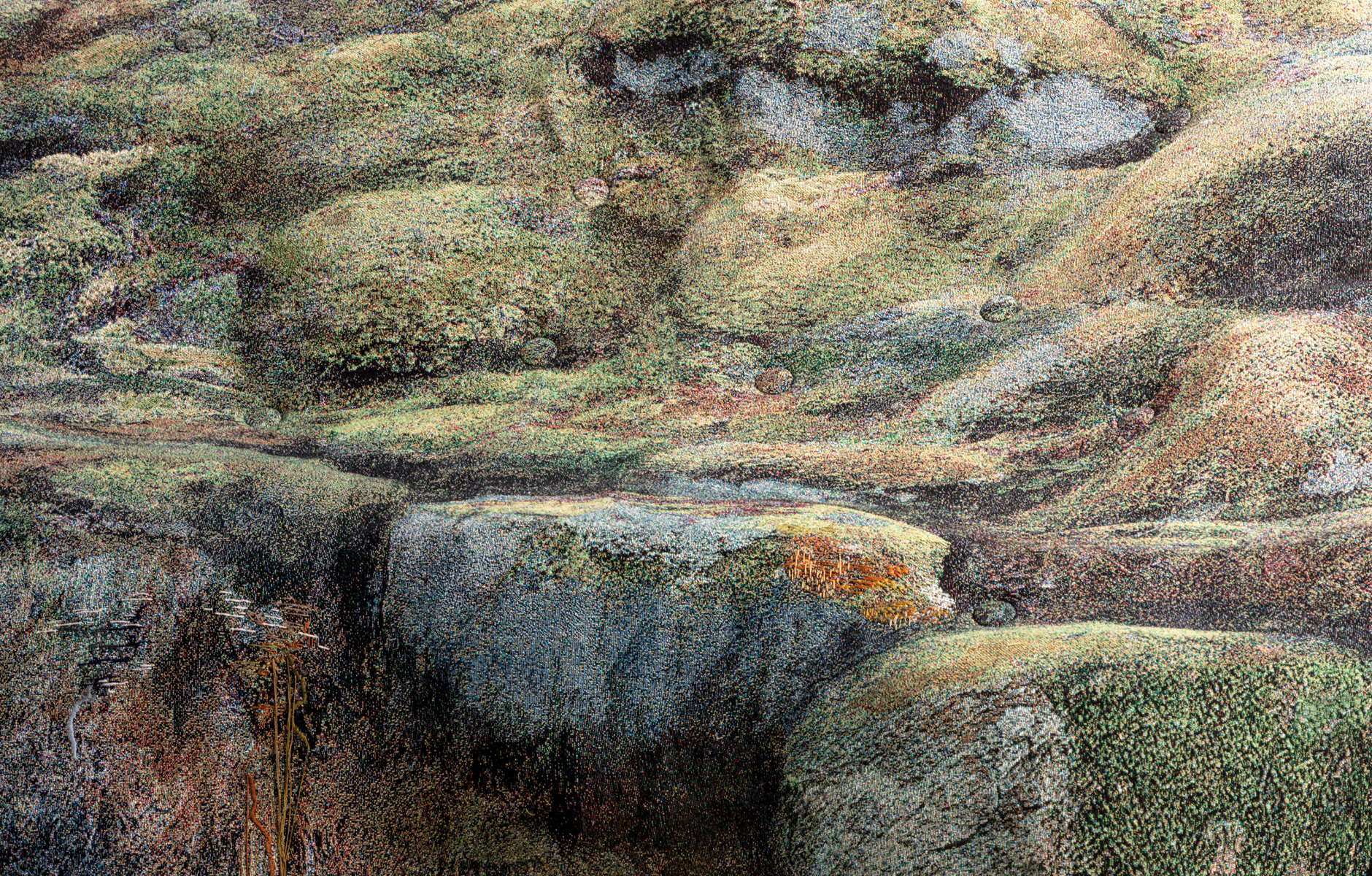 DesignByNature2_FrontForMoroso_Projectimage_5_1880