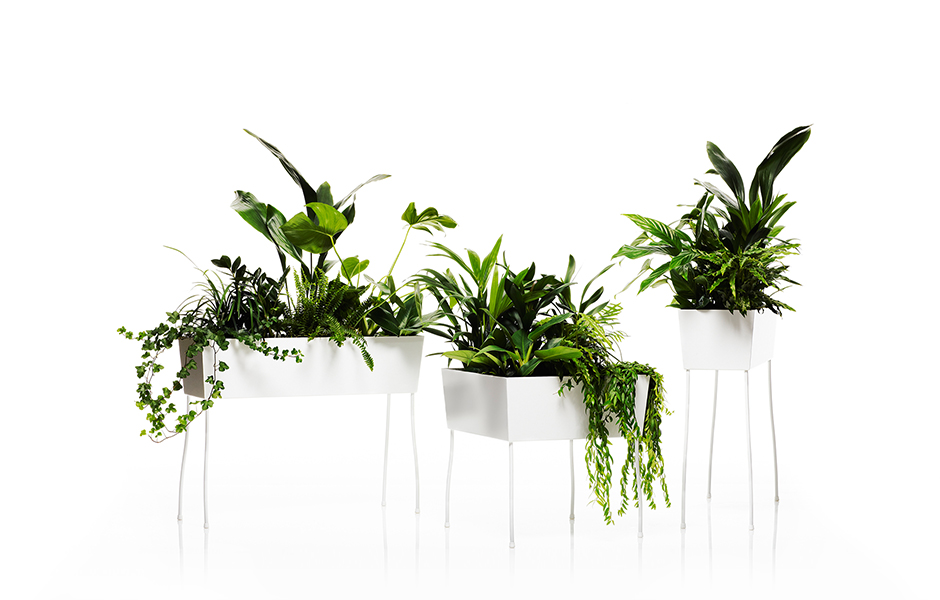 GreenPedestals_byFront_projectdefaultimage_940