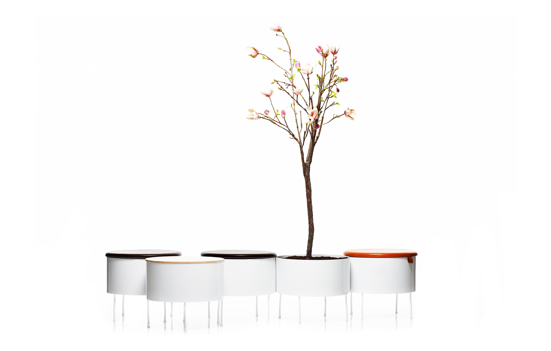 GreenPedestals_byFront_projectimage_1880_4