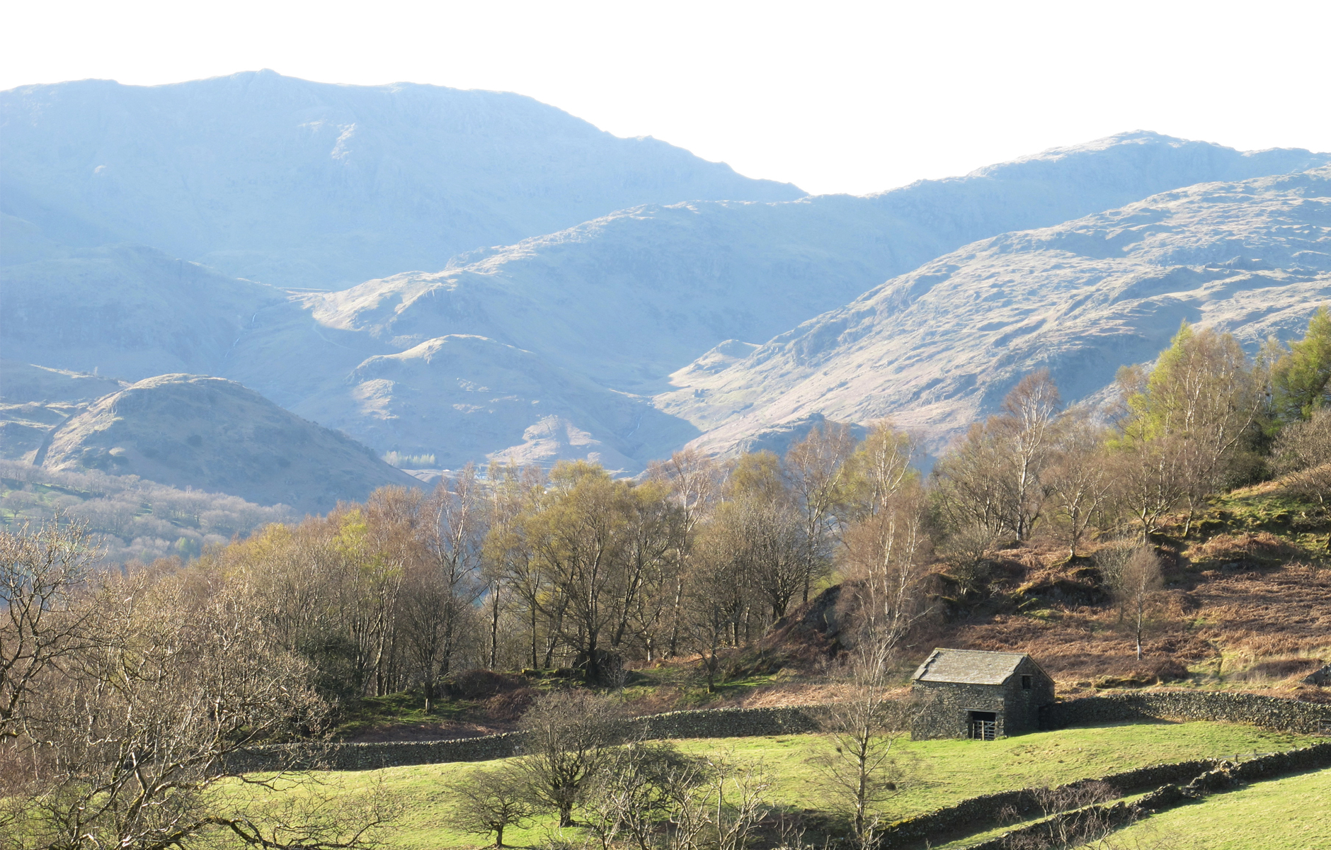 Grizedale Studio_FrontForGrizedaleStudio_grizedaleimage_15_1880