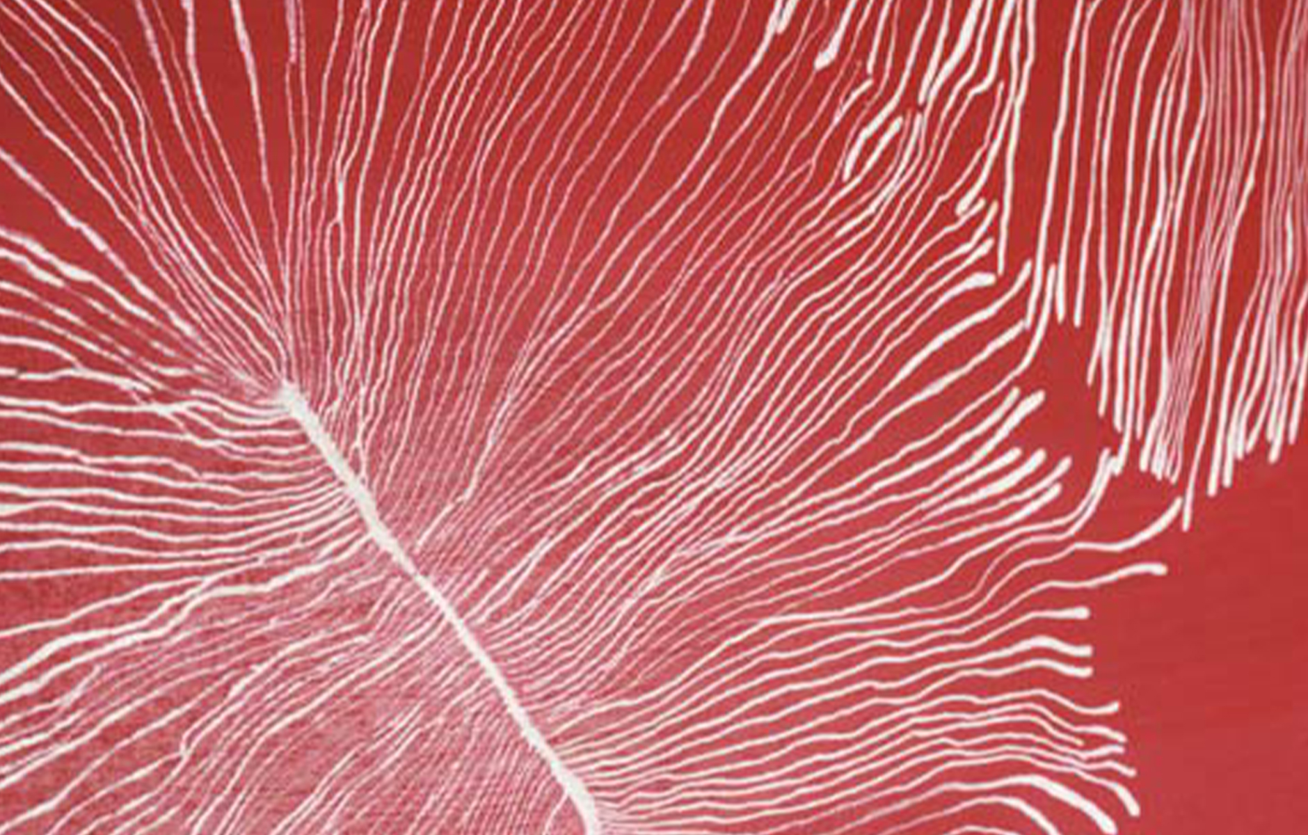 TableByInsects_byFront_projectimage_1880_2