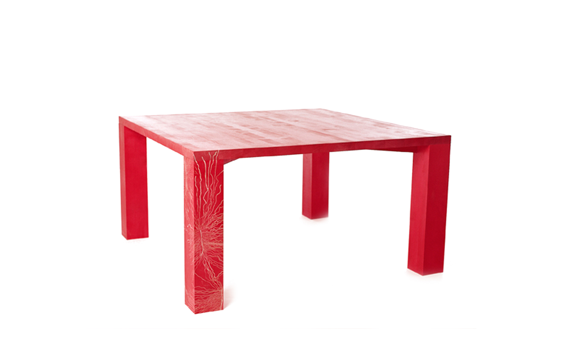 TableByInsects_byFront_projectimage_1880_3