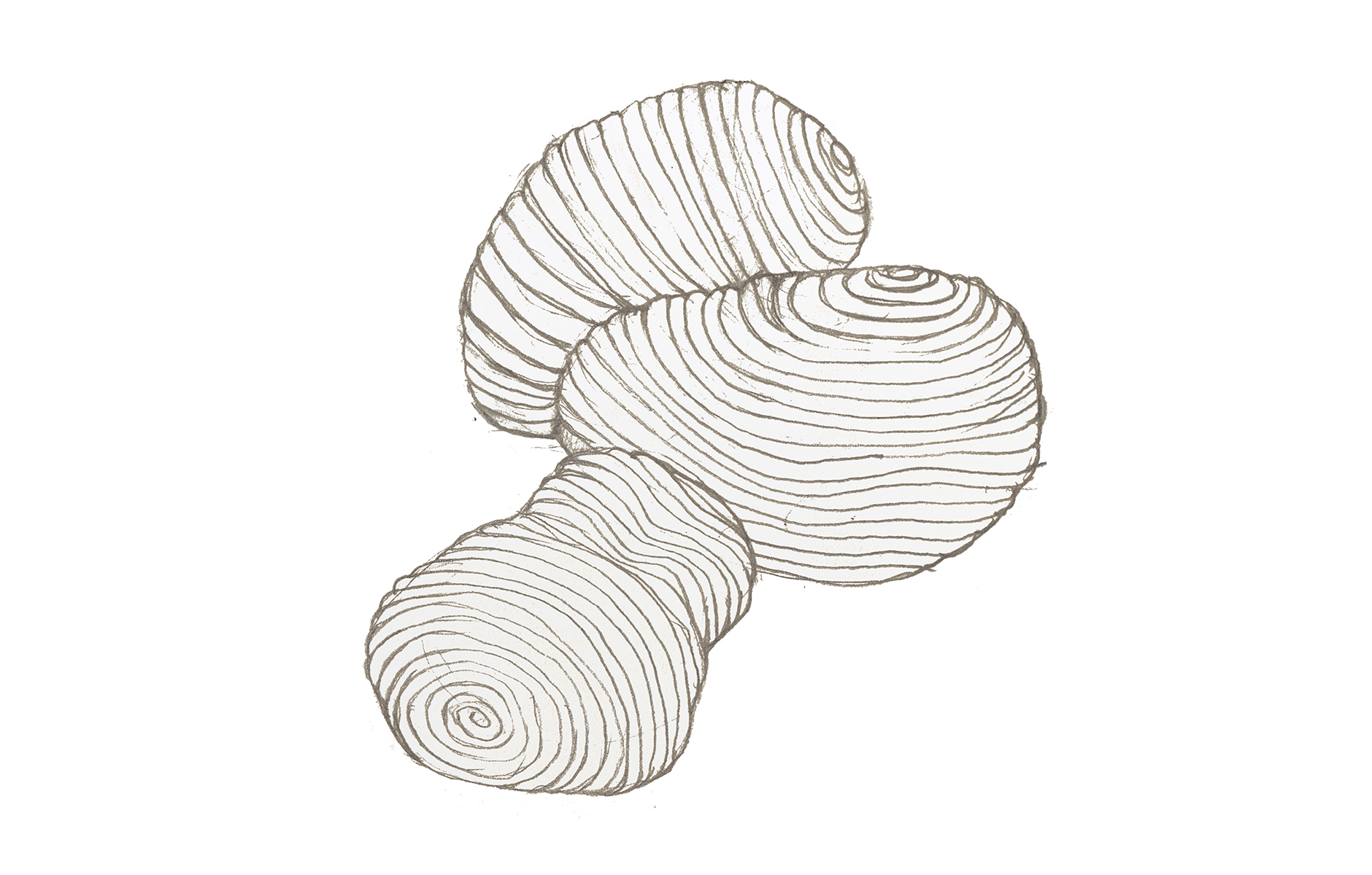 TricliniumSofa3_byFront_large